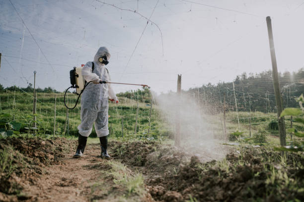 Best Commercial Pest Control Services  in Elk City, OK