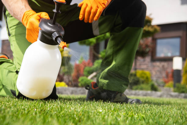 Trusted Elk City, OK Pest Control Experts