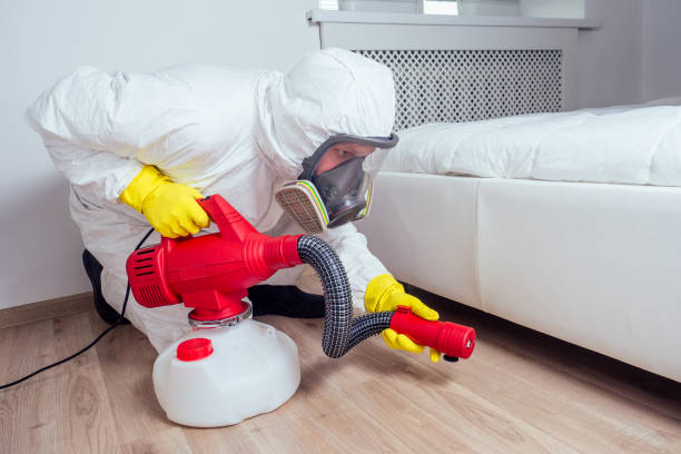 Best Pest Removal Services  in Elk City, OK