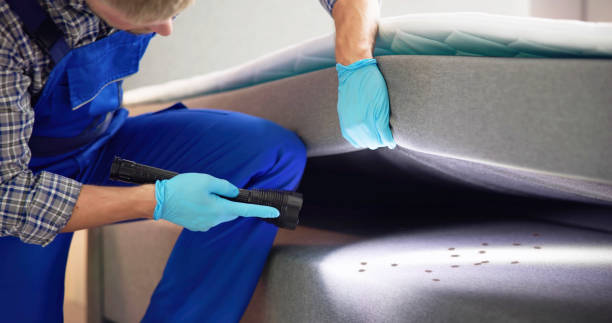 Best Cockroach Control Services  in Elk City, OK